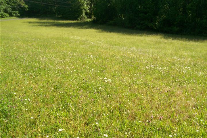 273 Pates Ford Road Walling, TN 38587 - Photo 2 of 21 Gallery Image 2
