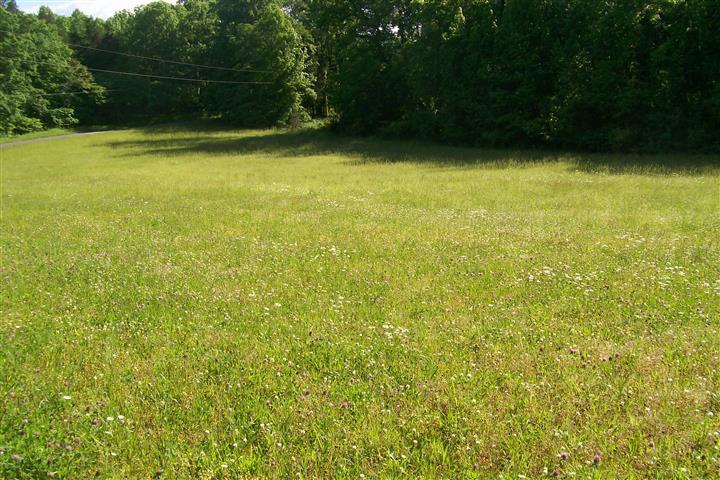 273 Pates Ford Road Walling, TN 38587 - Photo 3 of 21 Gallery Image 3