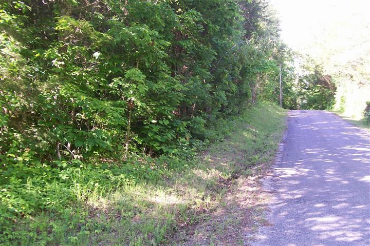 273 Pates Ford Road Walling, TN 38587 - Photo 4 of 21 Gallery Image 4