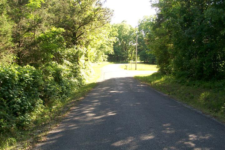 273 Pates Ford Road Walling, TN 38587 - Photo 5 of 21 Gallery Image 5