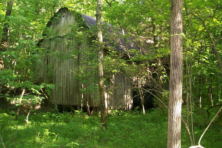 273 Pates Ford Road Walling, TN 38587 - Photo 8 of 21 Gallery Image 8