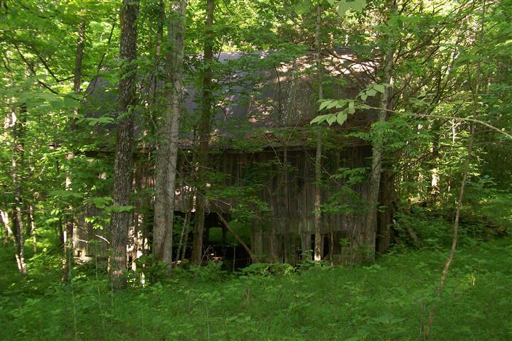 273 Pates Ford Road Walling, TN 38587 - Photo 9 of 21 Gallery Image 9