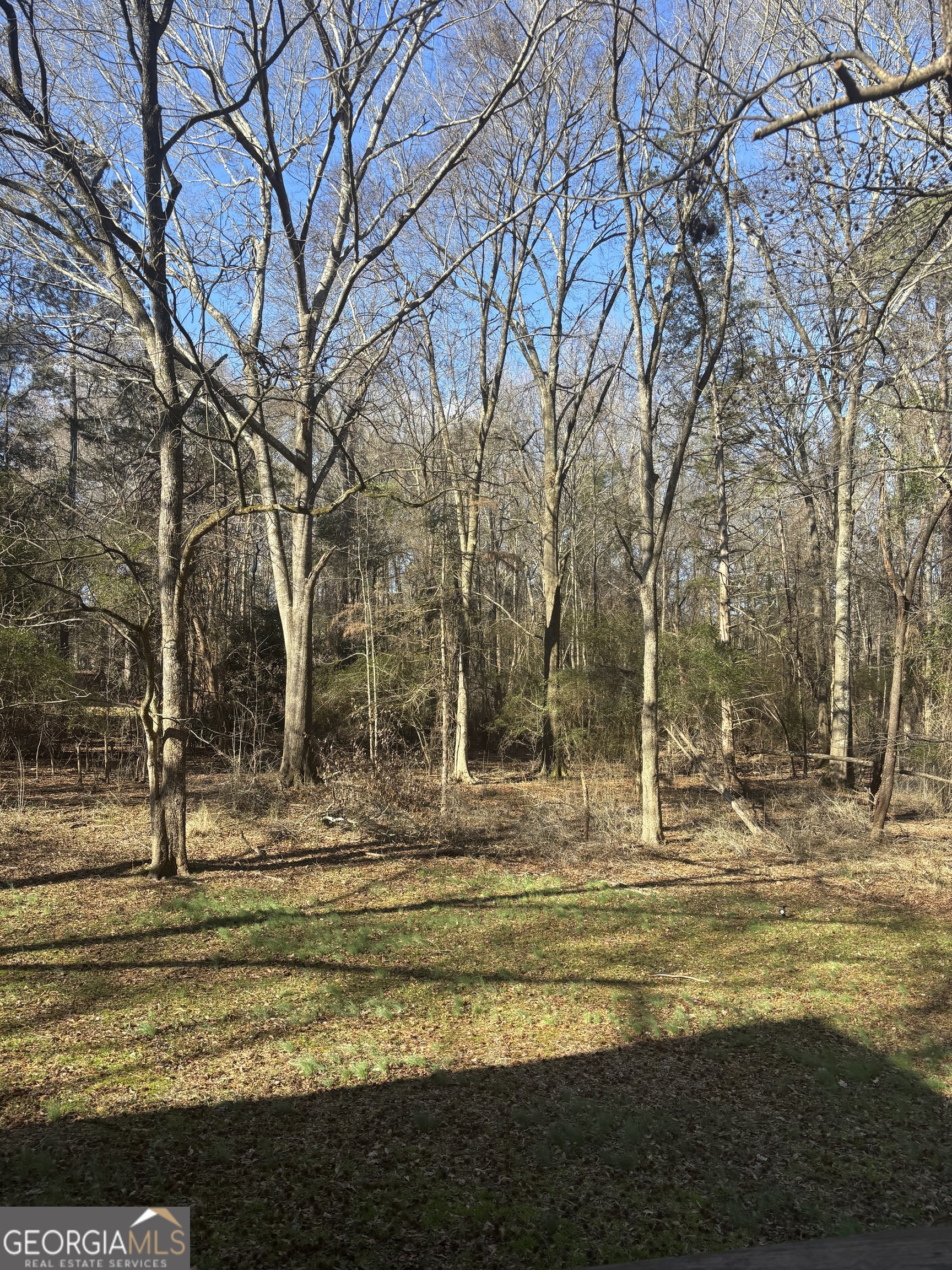 256 Frederick Drive Athens, GA 30607 - Photo 33 of 33