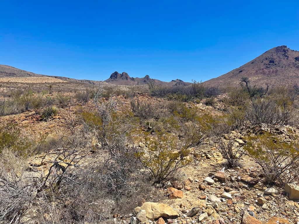8651 South Dagger Road Alpine, TX 79830 - Photo 1 of 1 Gallery Image 1
