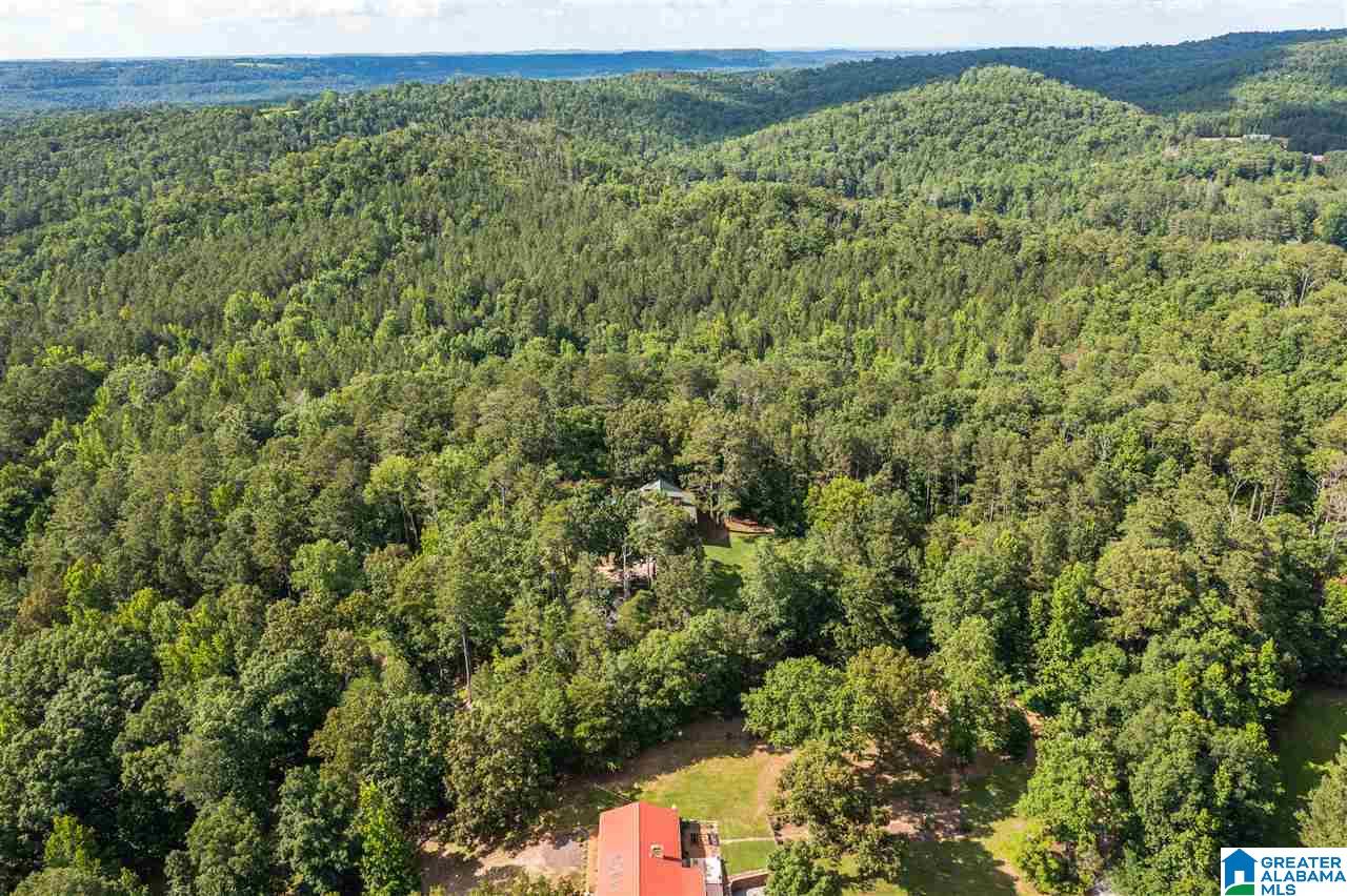56304 Highway 231 Oneonta, AL 35121 - Photo 47 of 50