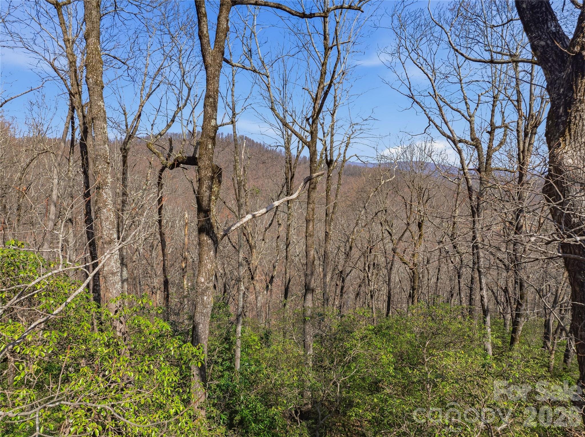 0 Panther Mountain Road, Unit 18 Zirconia, NC 28790 - Photo 13 of 40 Gallery Image 13