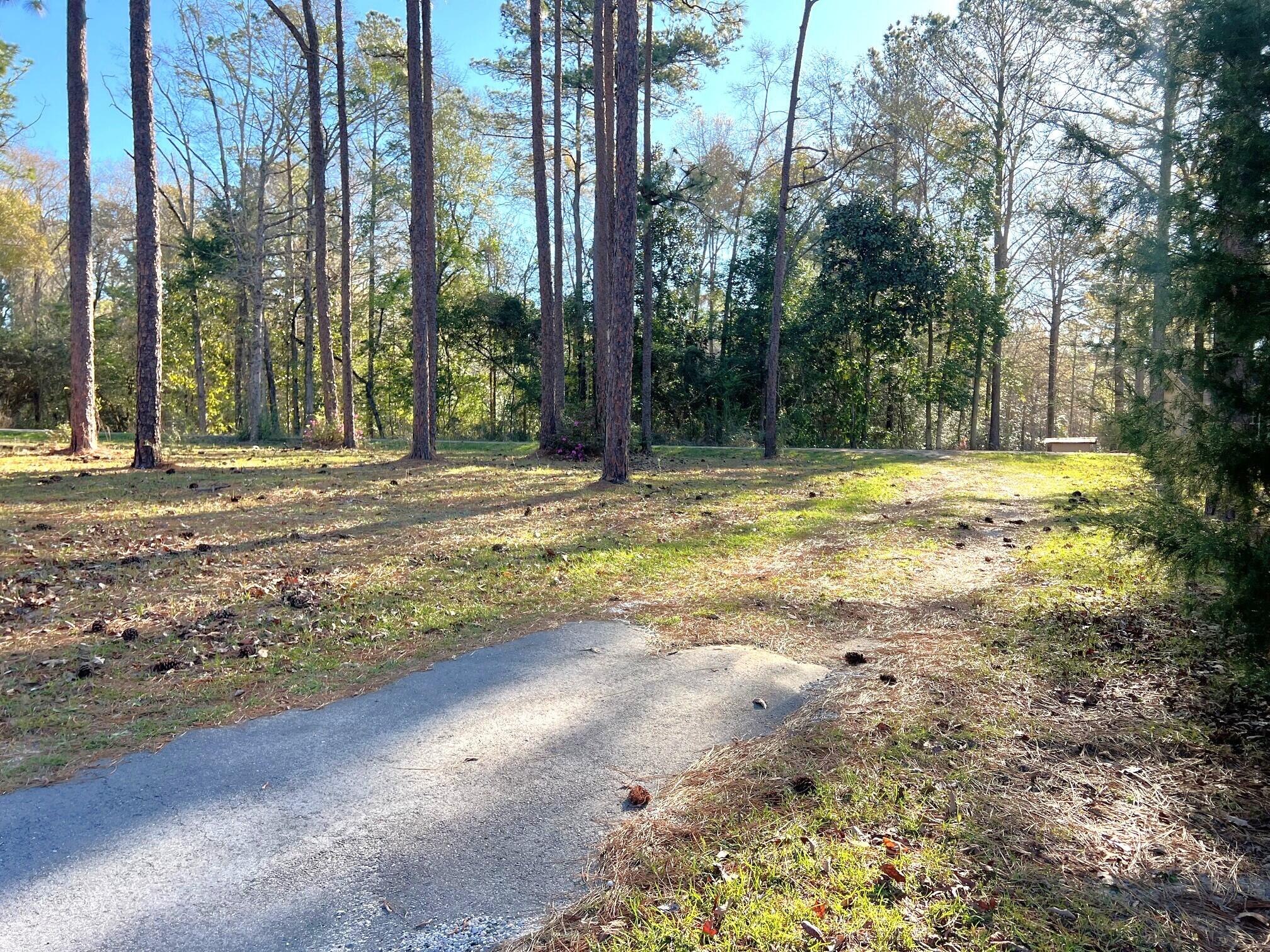164 Miller Road DeFuniak Springs, FL 32435 - Photo 58 of 76 Land (9)