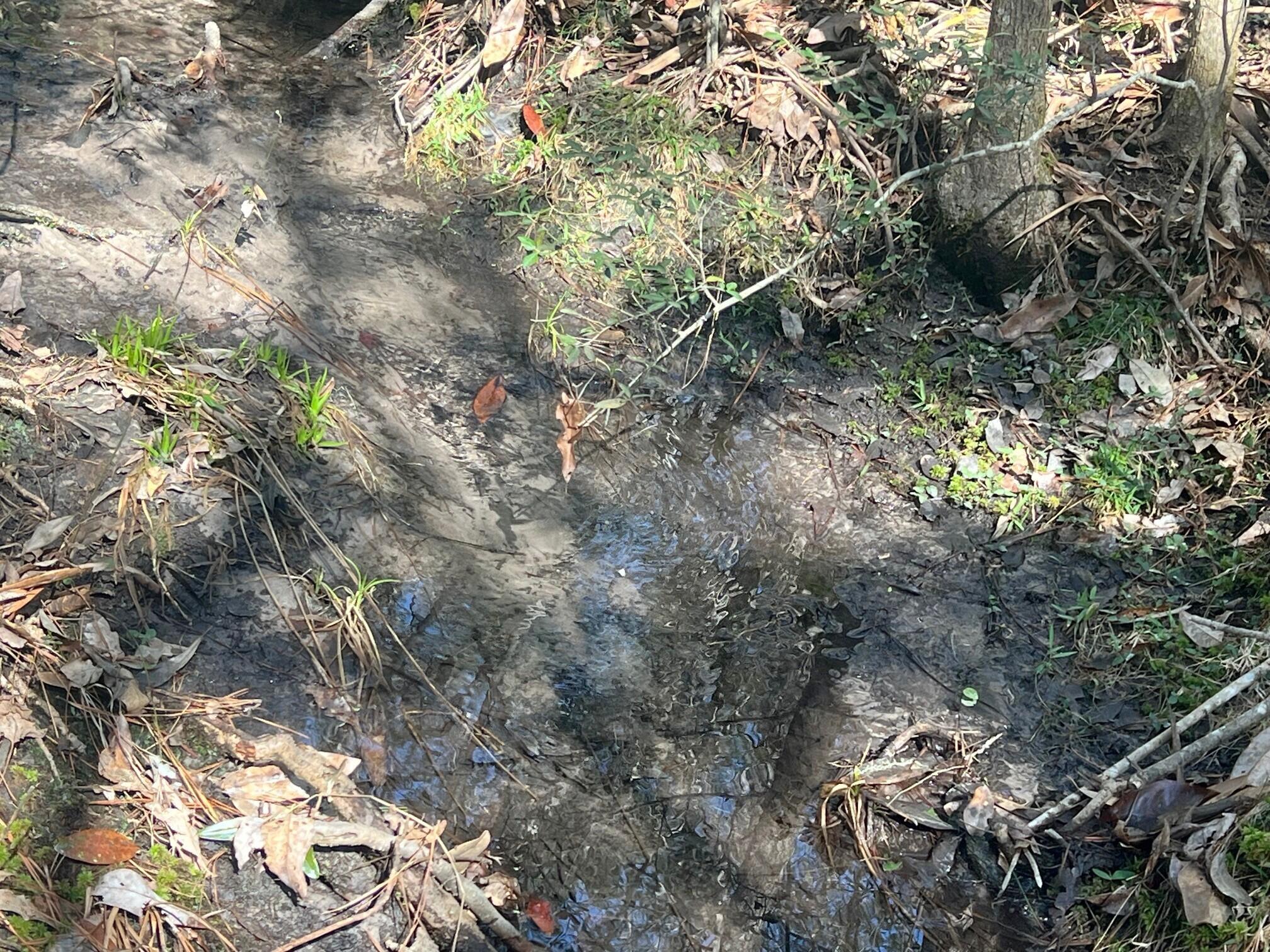 Creek (2)