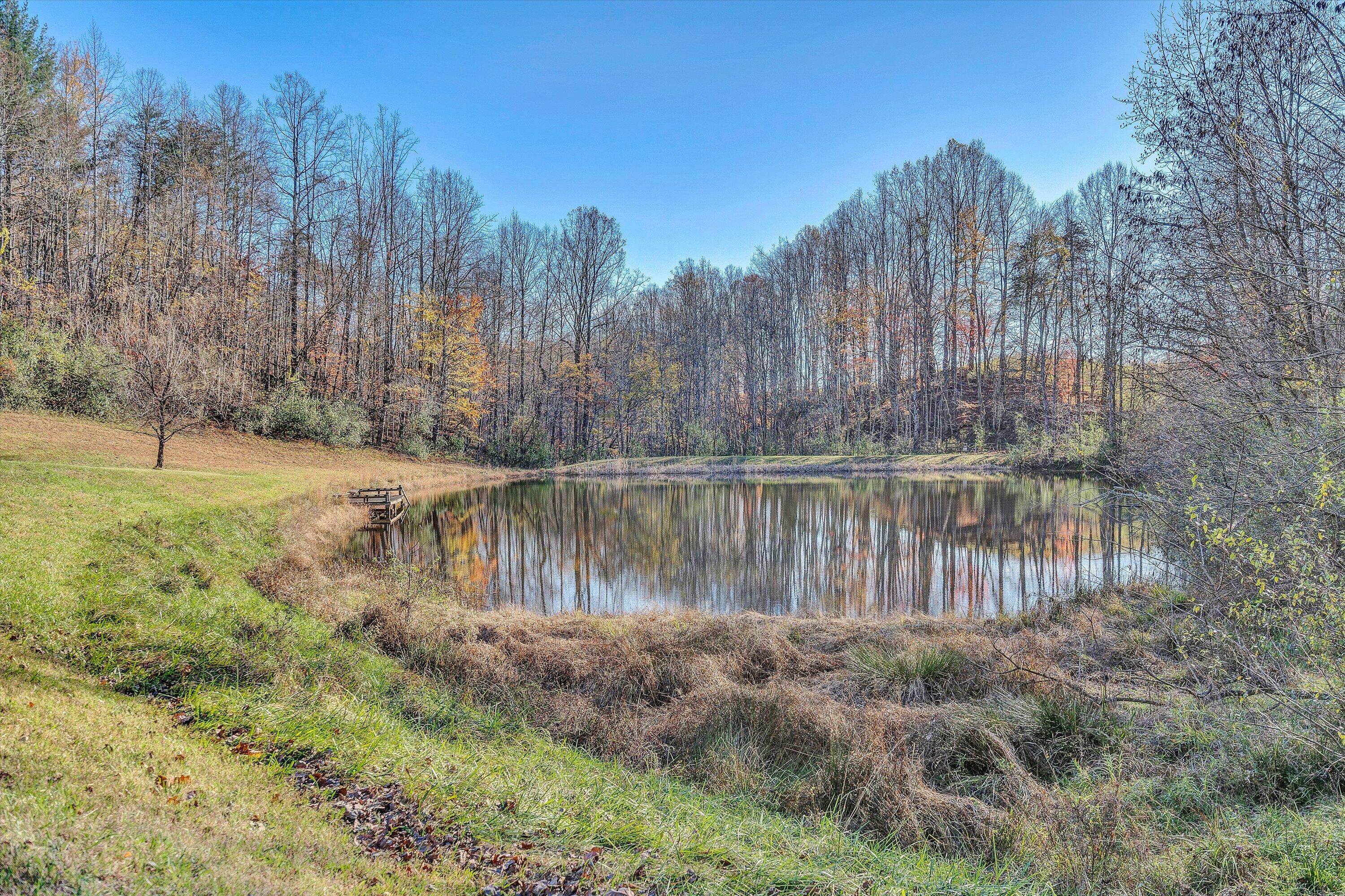 370 Rustic Ridge Road Stuart, VA 24171 - Photo 3 of 42 a backyard of a house with large trees and wooden fence