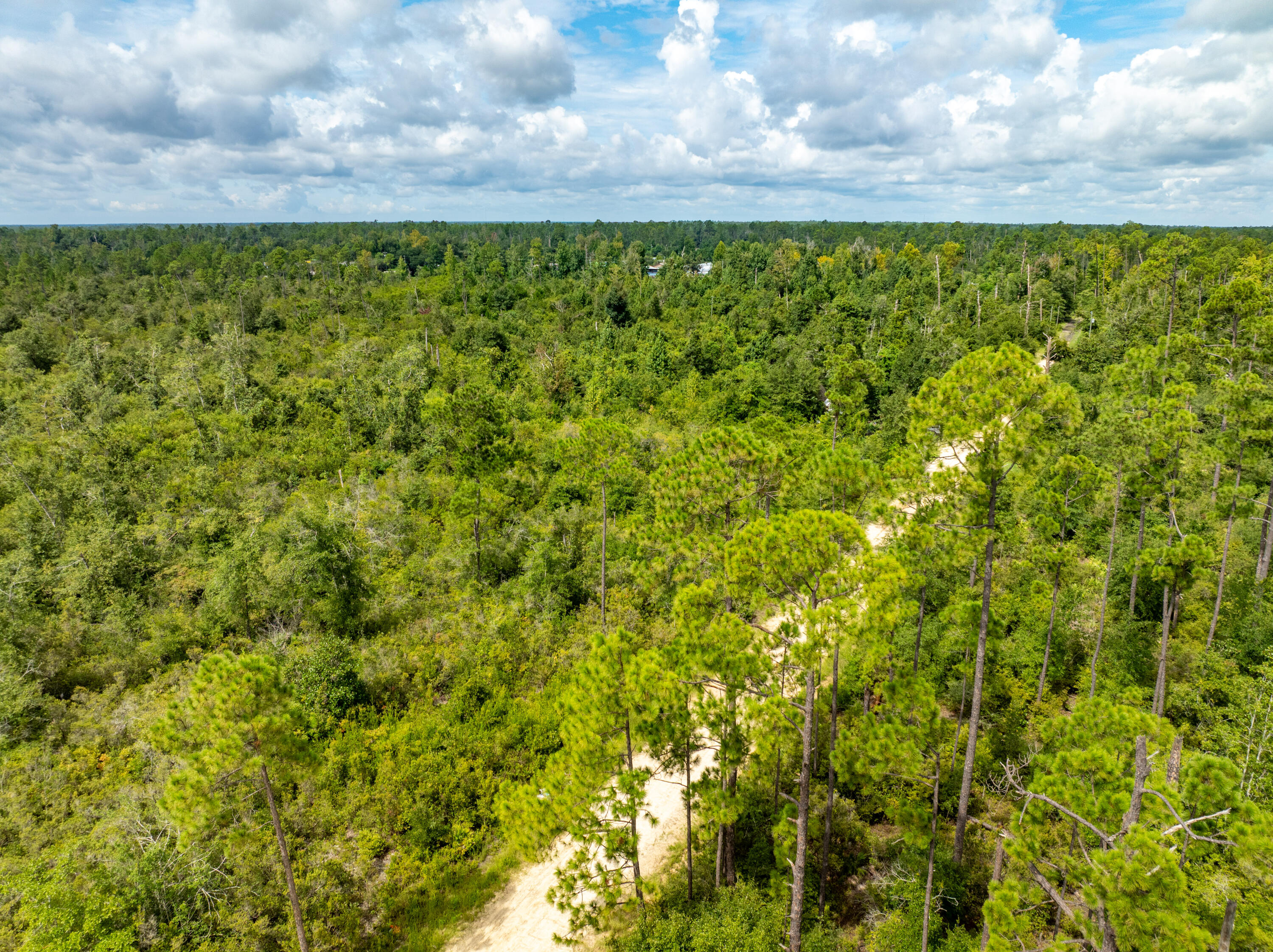 Xxx Webber Road Fountain, FL 32438 - Photo 12 of 17 DJI_0572-HDR