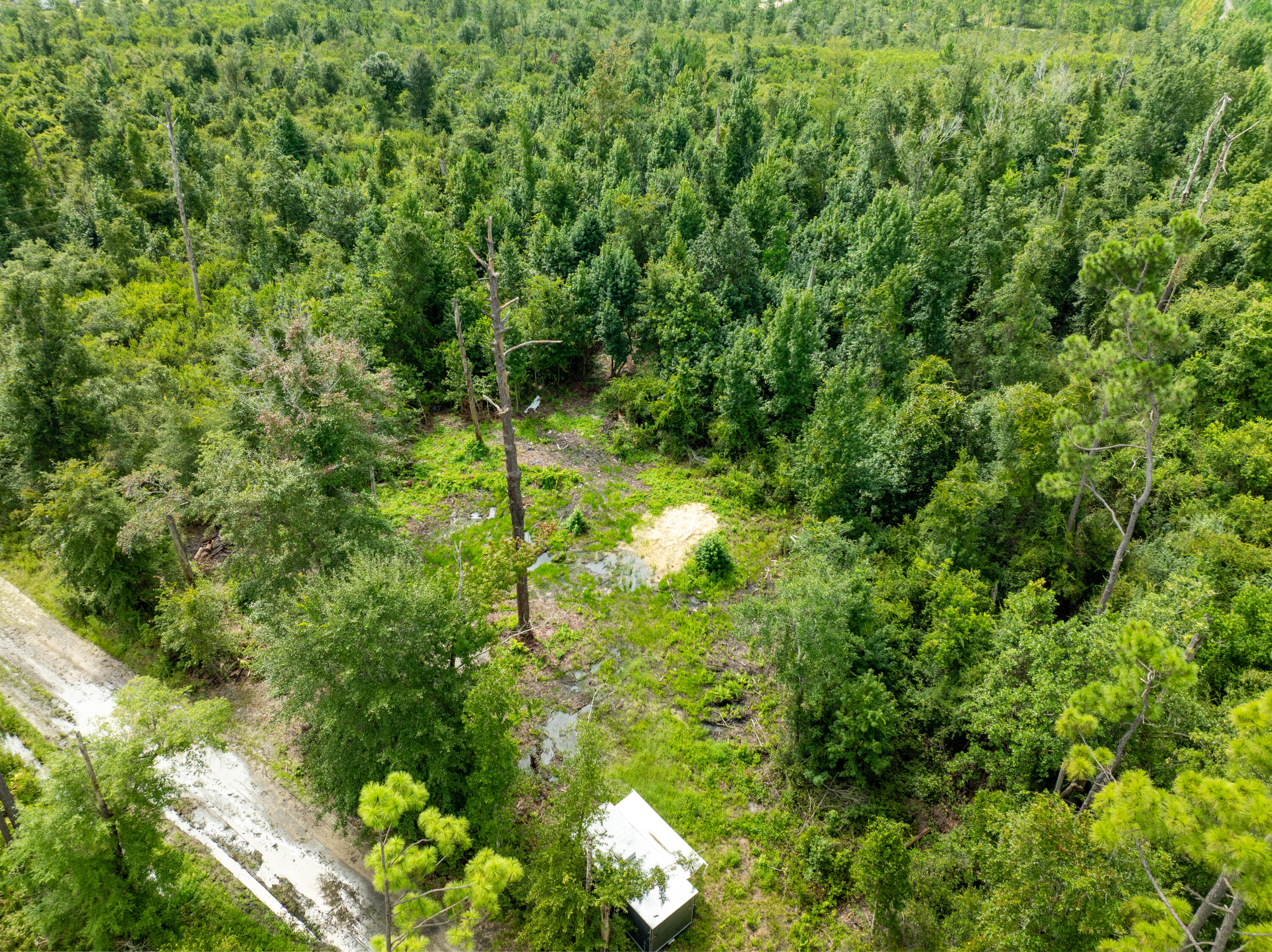 Xxx Webber Road Fountain, FL 32438 - Photo 16 of 17 DJI_0584-HDR