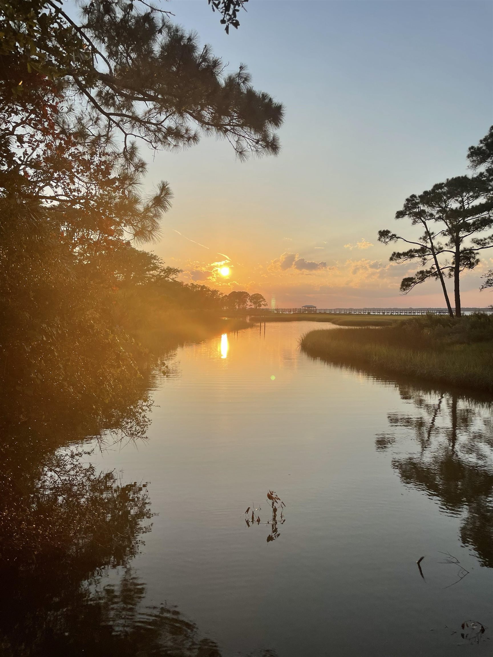 23 Tom Roberts Road Alligator Point, FL 32346 - Photo 2 of 9