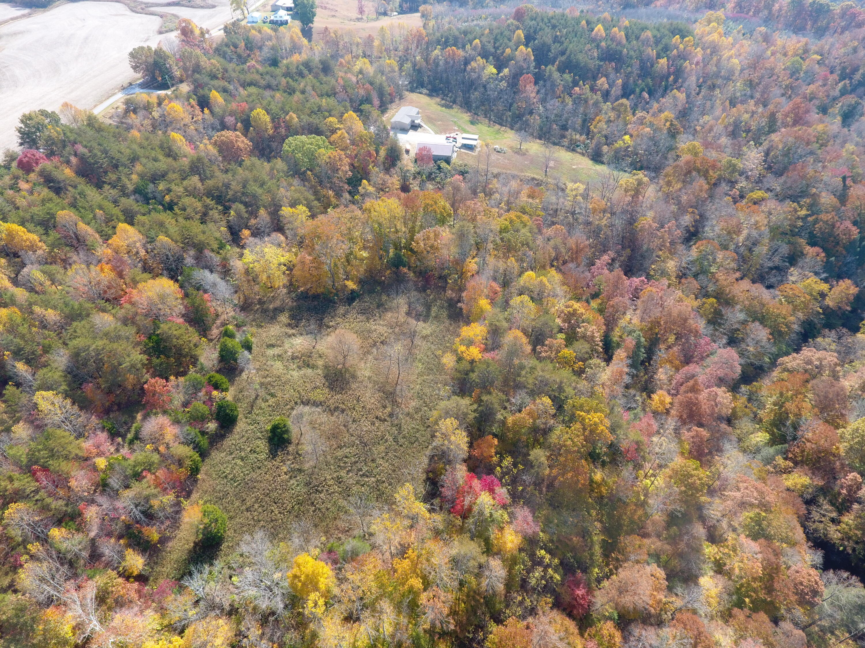 985 Gaines Road Nancy, KY 42544 - Photo 71 of 82 DJI_0068