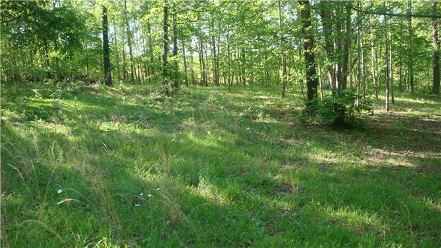 94 Pine Lake Road Summertown, TN 38483 - Photo 3 of 9 Gallery Image 3