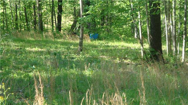 94 Pine Lake Road Summertown, TN 38483 - Photo 7 of 9 Gallery Image 7
