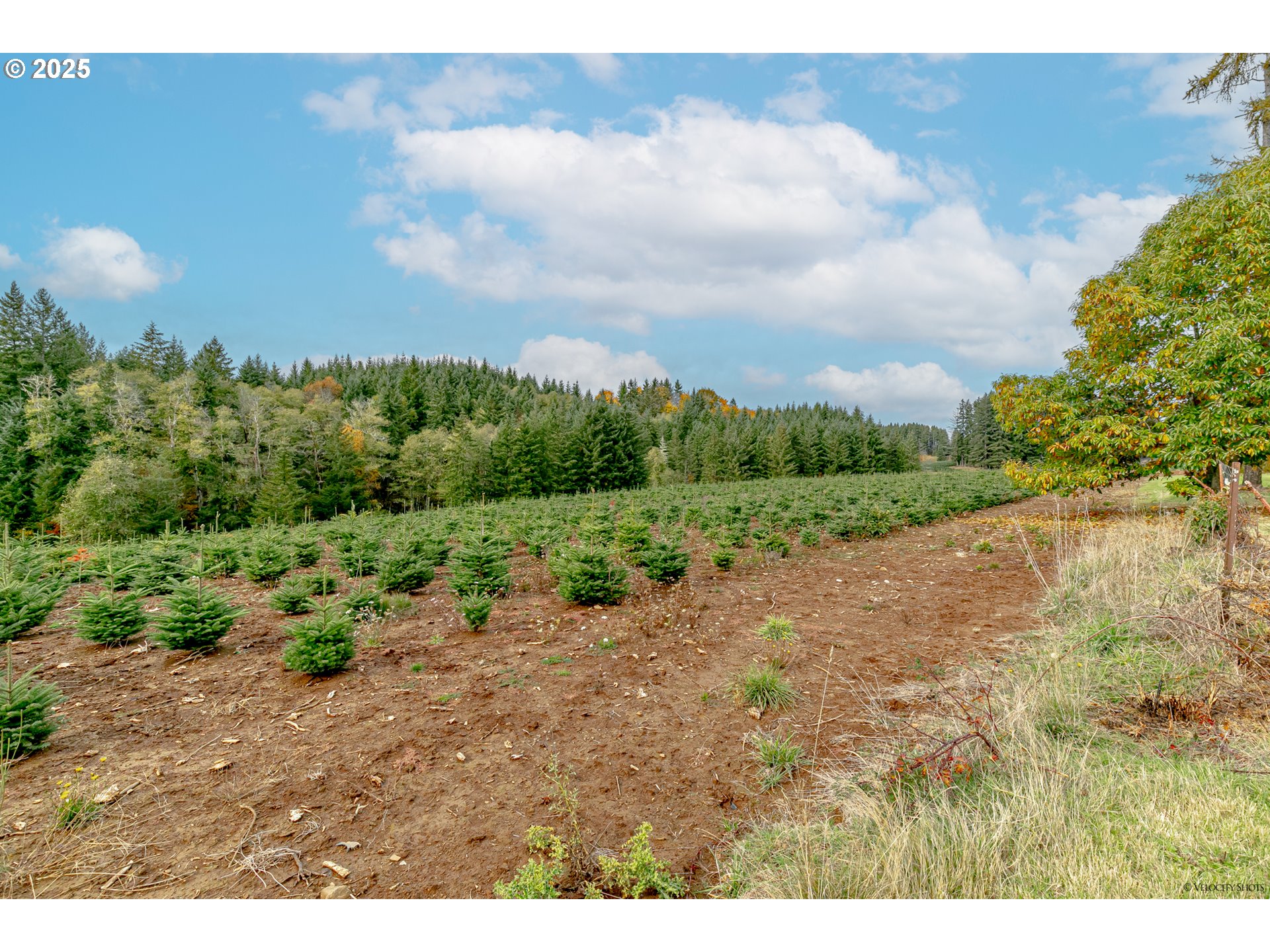29795 Southeast Gruber Road Estacada, OR 97023 - Photo 37 of 45