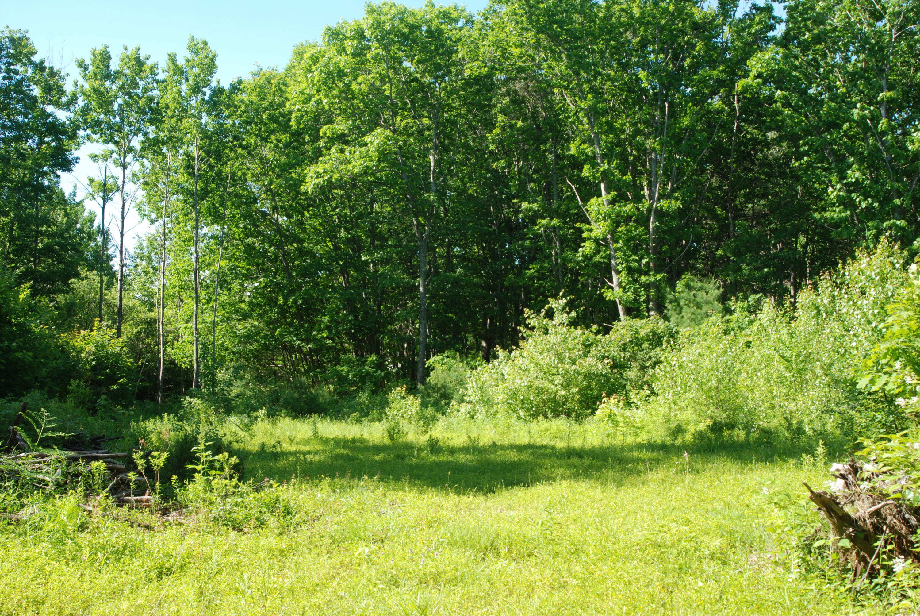 0 Newtown Road Biddeford, ME 04005 - Photo 5 of 6 0 Newtown road 7