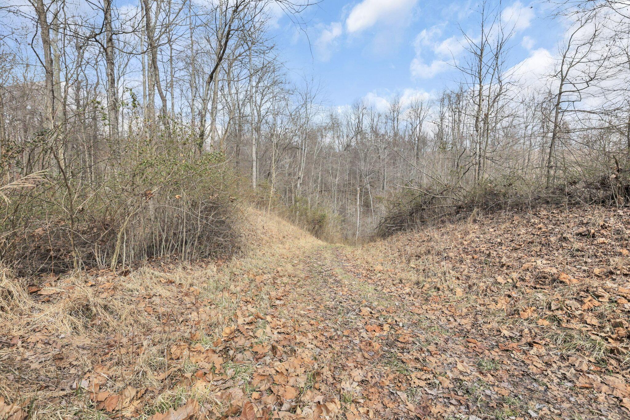 9814 Wesley Chapel Road Mount Perry, OH 43760 - Photo 43 of 56 Acreage