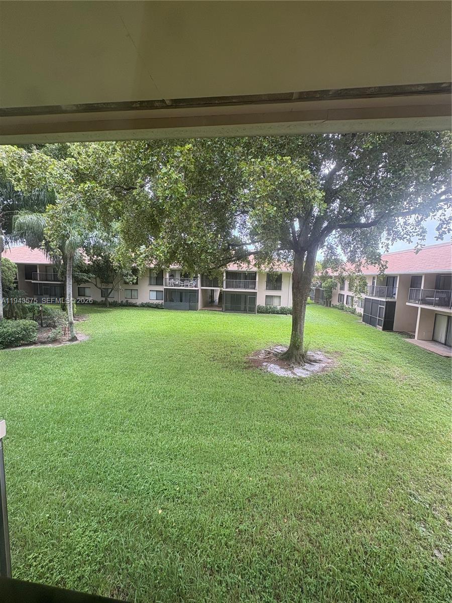 5981 Washington Street, Unit 215 Hollywood, FL 33023 - Photo 20 of 24 a view of a yard with a large tree