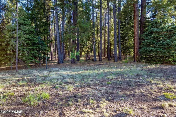 a view of outdoor space with trees