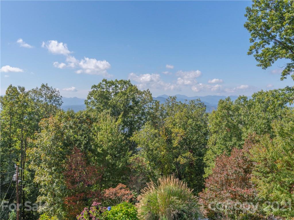 19 Bent Tree Road Asheville, NC 28804 - Photo 18 of 37 Gallery Image 18