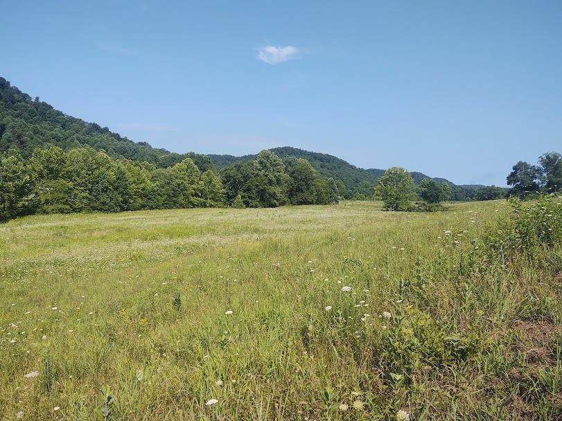 1200 Clearfork Road Morehead, KY 40351 - Photo 54 of 86 Photo 54