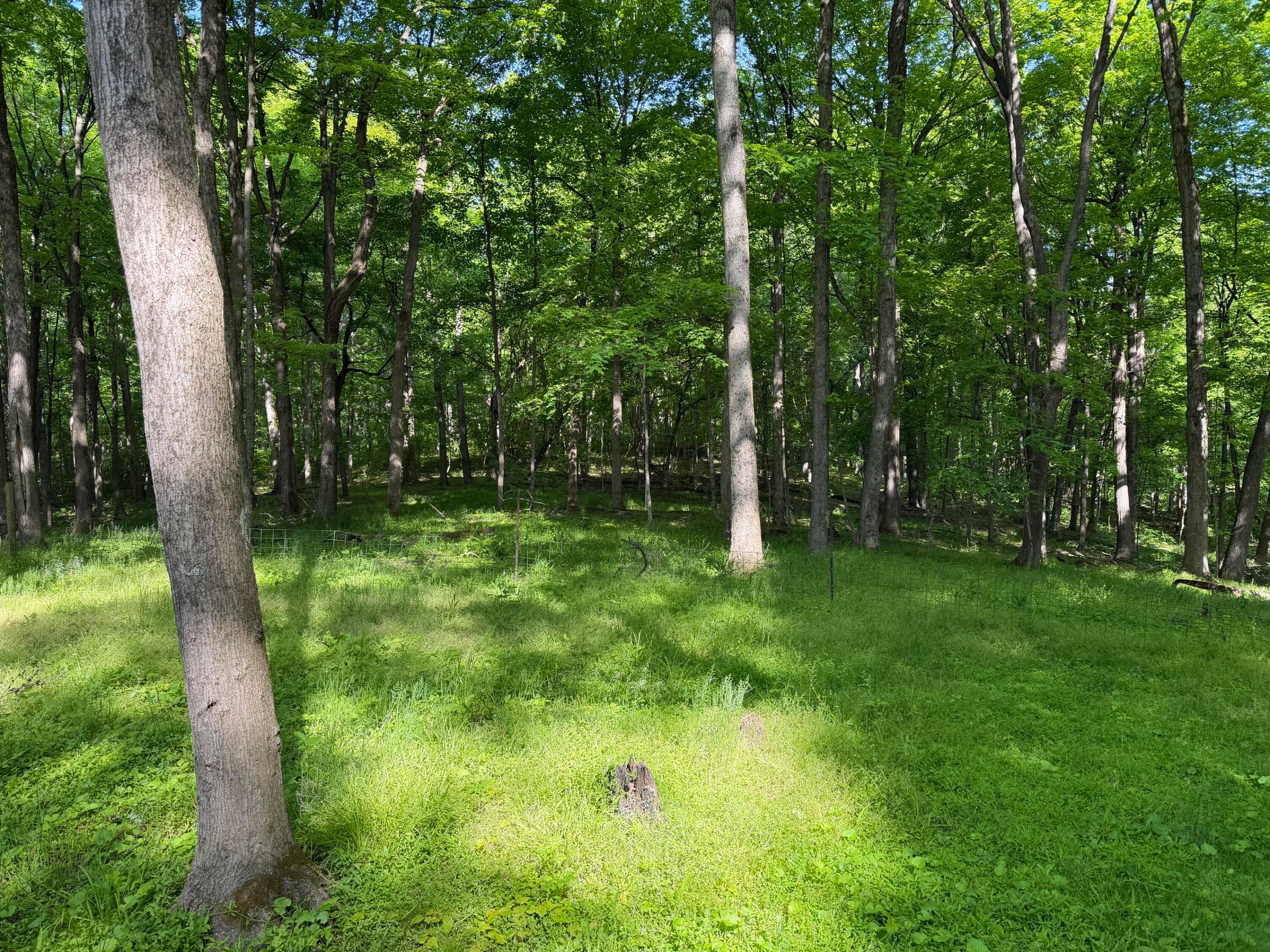 13807 Marshall Road Rockbridge, OH 43149 - Photo 2 of 5 IMG_0262