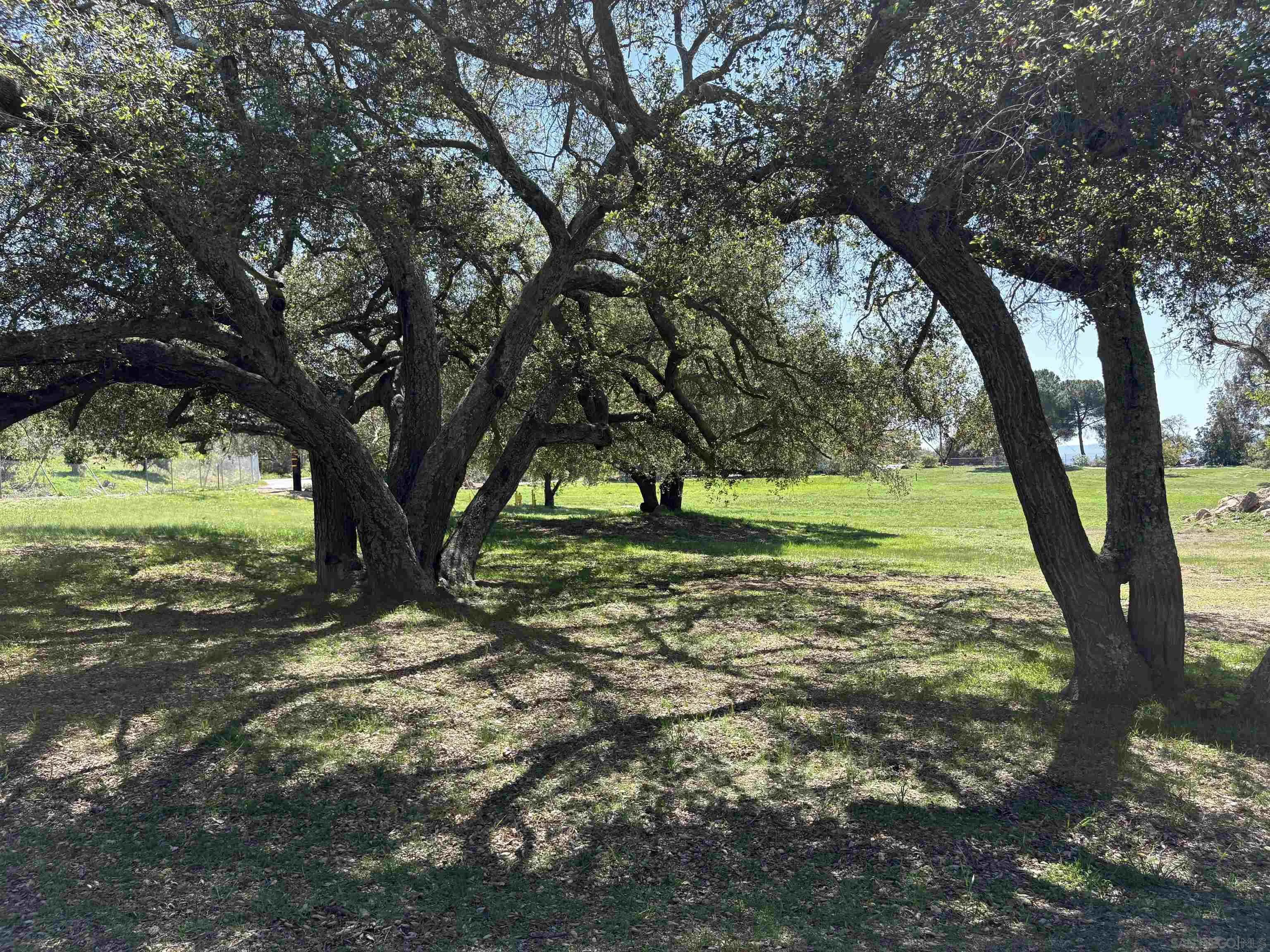 6702 Rainbow Heights Road Rainbow, CA 92028 - Photo 30 of 37 a view of outdoor space with trees