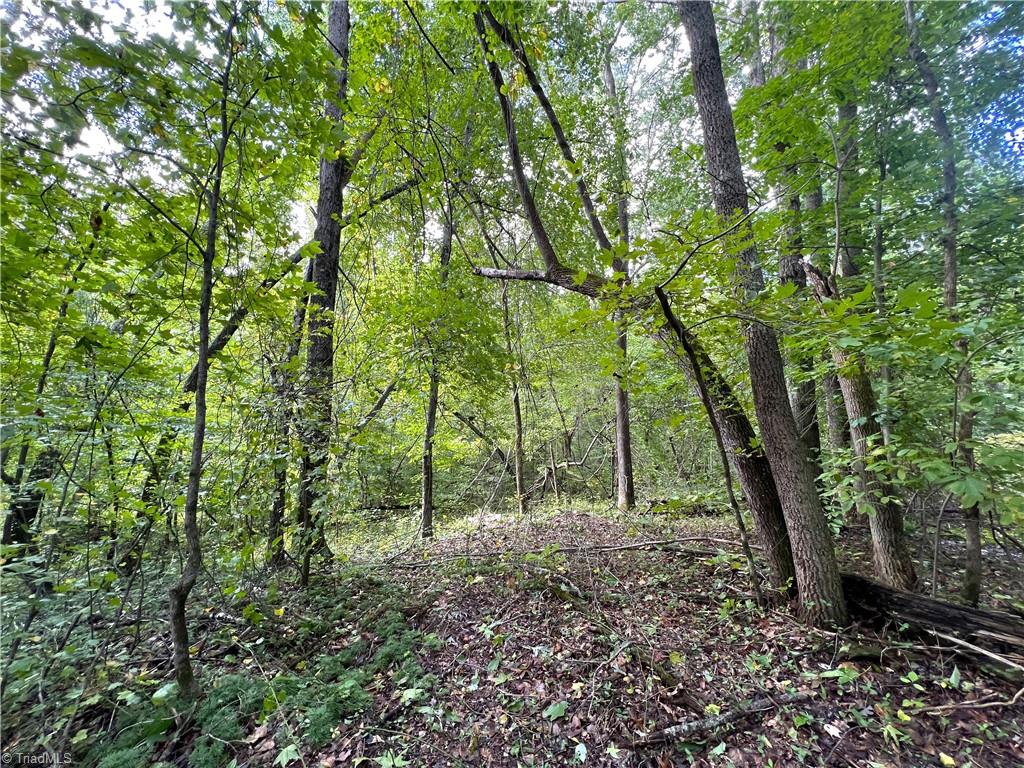 8523 Oak Level Church Road Stokesdale, NC 27357 - Photo 1 of 12 Gallery Image 1