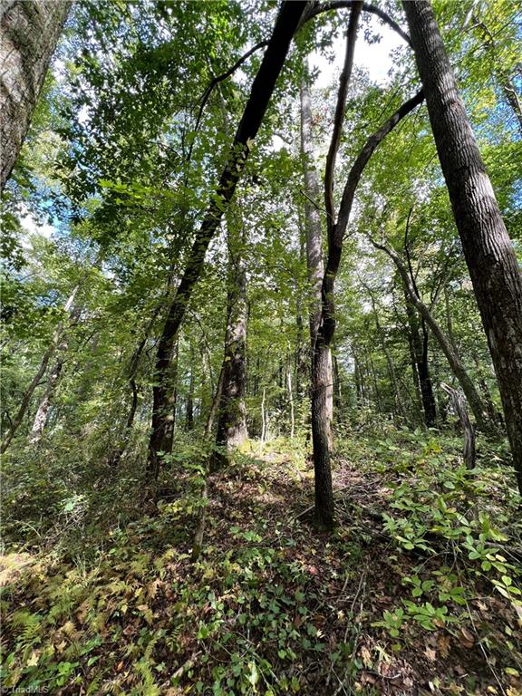 8523 Oak Level Church Road Stokesdale, NC 27357 - Photo 3 of 12 Gallery Image 3