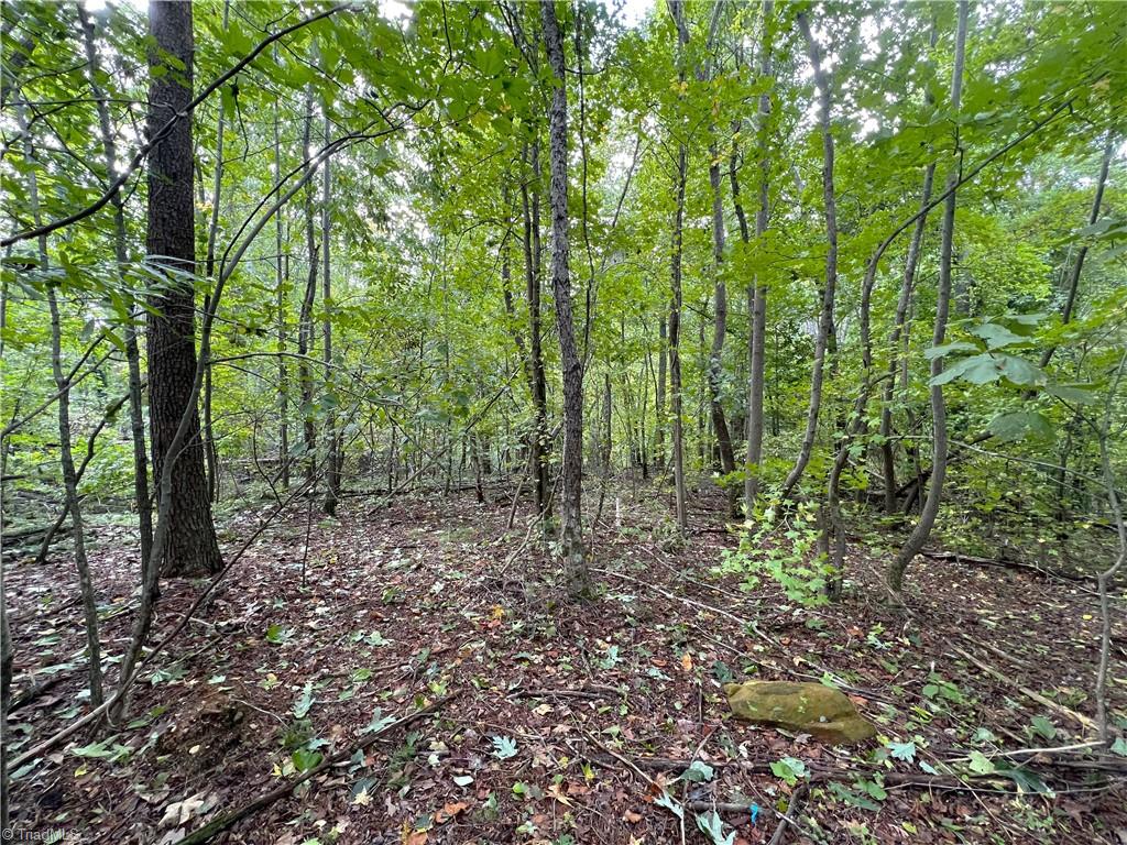 8523 Oak Level Church Road Stokesdale, NC 27357 - Photo 8 of 12 Gallery Image 8