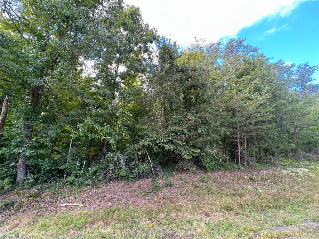 8523 Oak Level Church Road Stokesdale, NC 27357 - Photo 10 of 12 Gallery Image 10