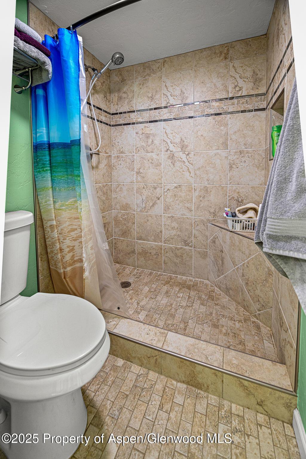 834 Ashley Road Craig, CO 81625 - Photo 11 of 38 a bathroom with a toilet and a shower