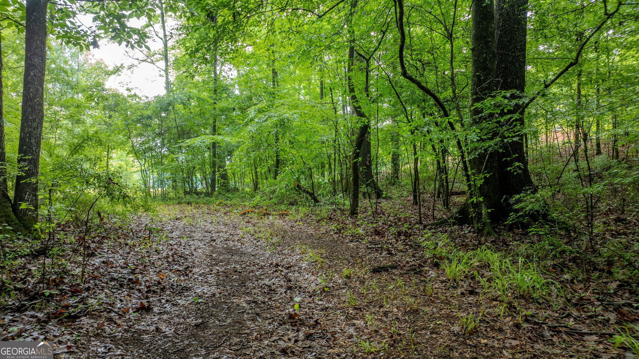 699 Bankstown Road Brooks, GA 30205 - Photo 108 of 122