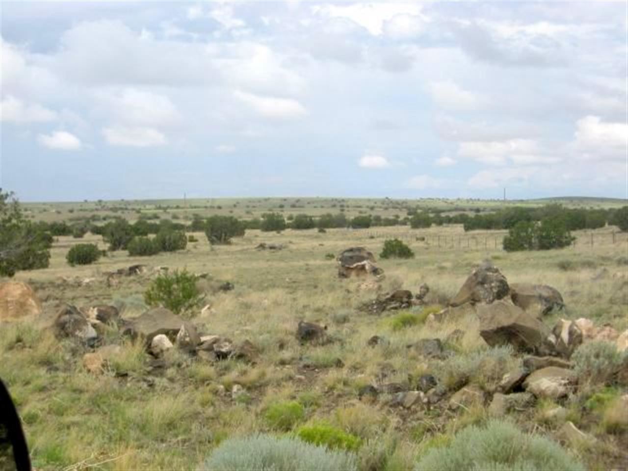 1 Ranch Road Concho, AZ 85924 - Photo 1 of 3 Gallery Image 1