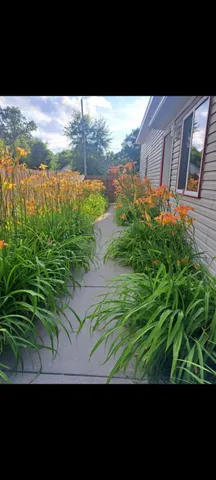 $335,000 | 134 North 5th Street Northeast, Cedar Springs, MI 49319