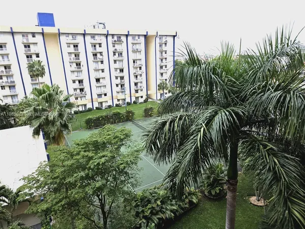 a close up of a plant in a garden