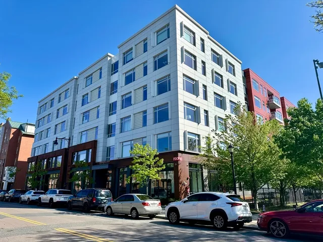 a view of a yard with plants and trees