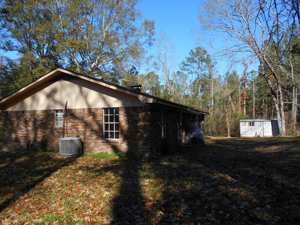 220 Roy Schmidt Road Sontag, MS 39665 - Photo 3 of 12 Photo 3