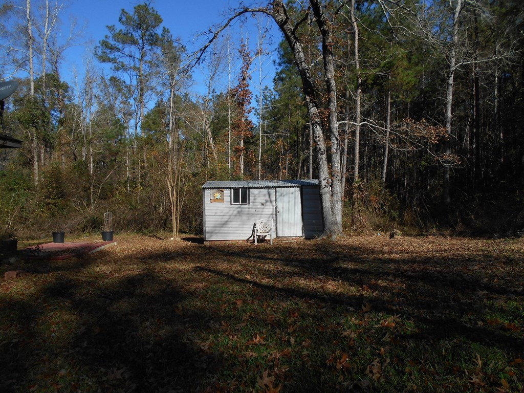 220 Roy Schmidt Road Sontag, MS 39665 - Photo 4 of 12 Photo 4