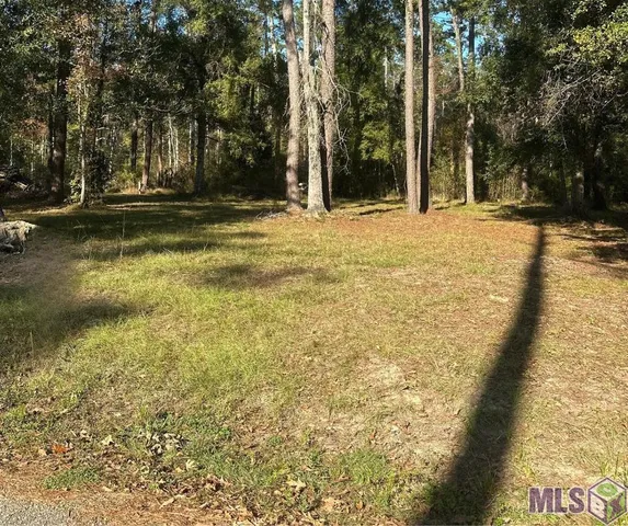 $26,500 | 31581 River Pines Drive, Springfield, LA 70462