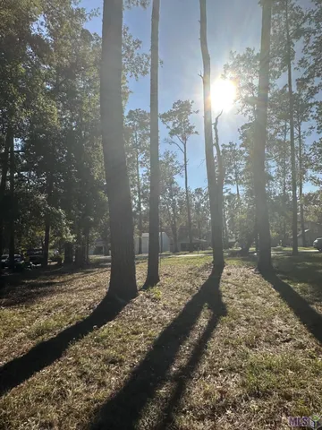 $26,500 | 31581 River Pines Drive, Springfield, LA 70462