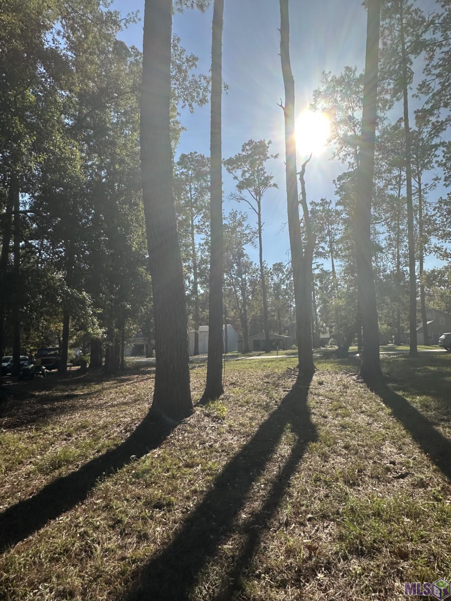 31581 River Pines Drive Springfield, LA 70462 - Photo 3 of 3