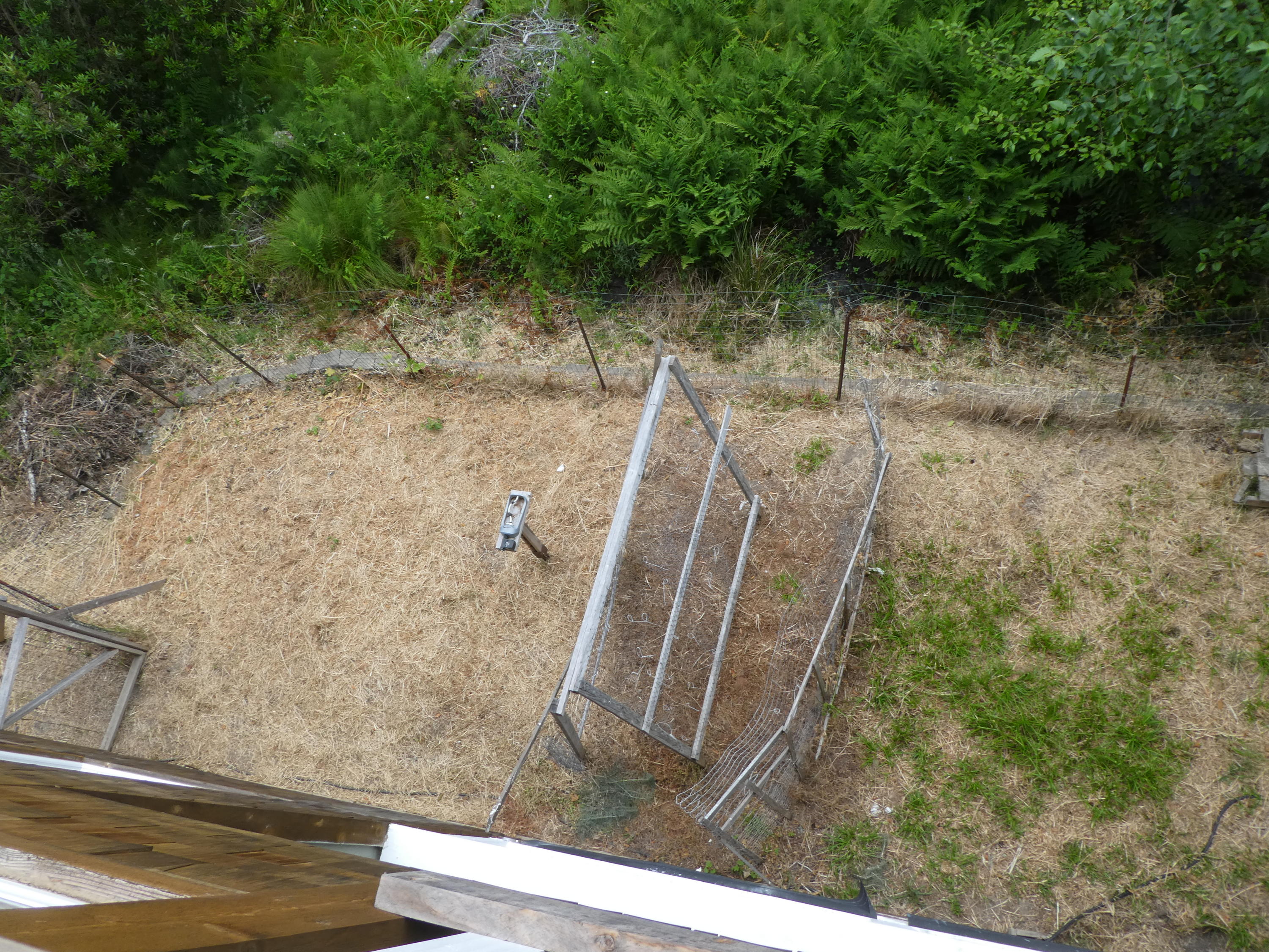 844 Spring Road Shelter Cove, CA 95589 - Photo 33 of 43 Back yard