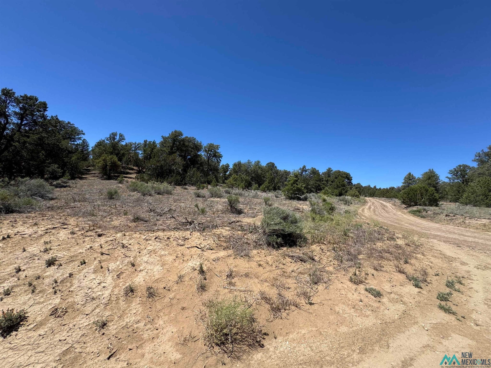 62 Old Wl Road Ramah, NM 87357 - Photo 2 of 16 Gallery Image 2