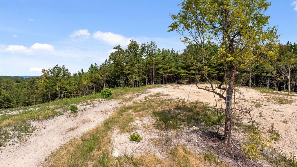 6 Reed Road Tunnel Hill, GA 30755 - Photo 17 of 27 Gallery Image 17