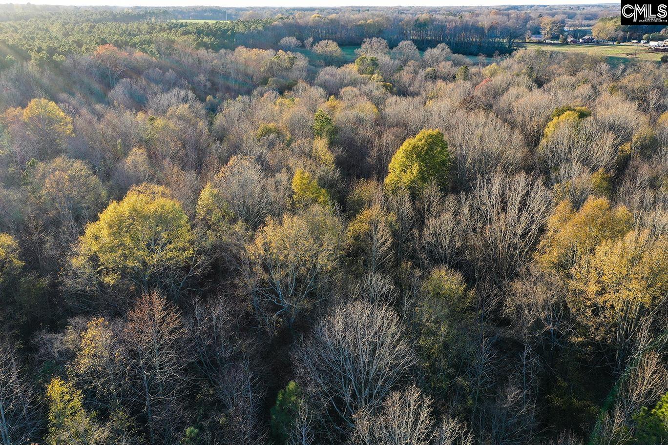 0 Rocky Creek Road Newberry, SC 29108 - Photo 8 of 25