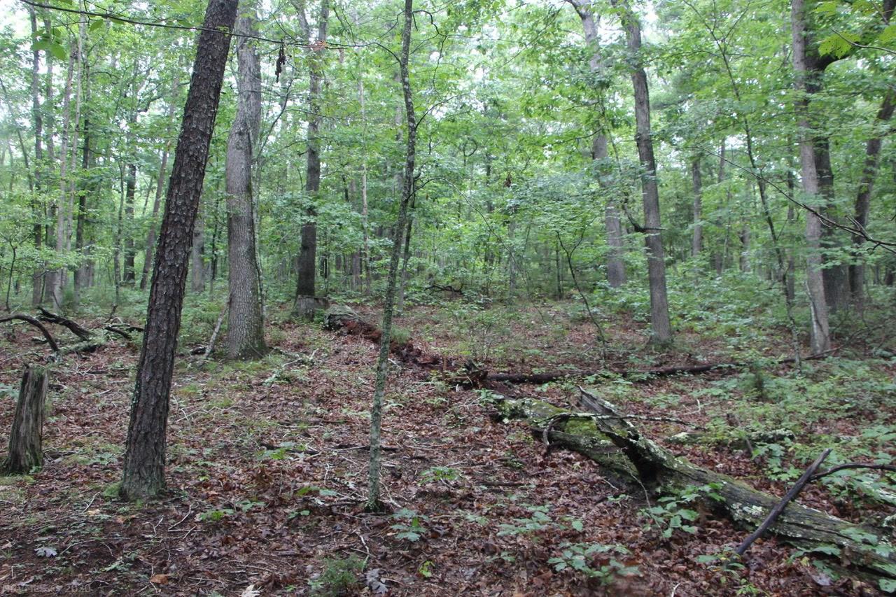 4279 Bradshaw Road Elliston, VA 24087 - Photo 1 of 13 Gallery Image 1
