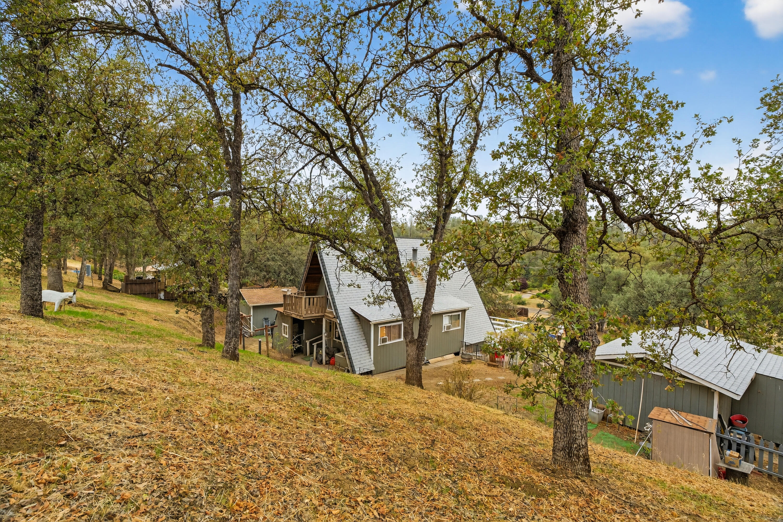 16937 Stagecoach Road Corning, CA 96021 - Photo 24 of 24 a view of a house with a yard