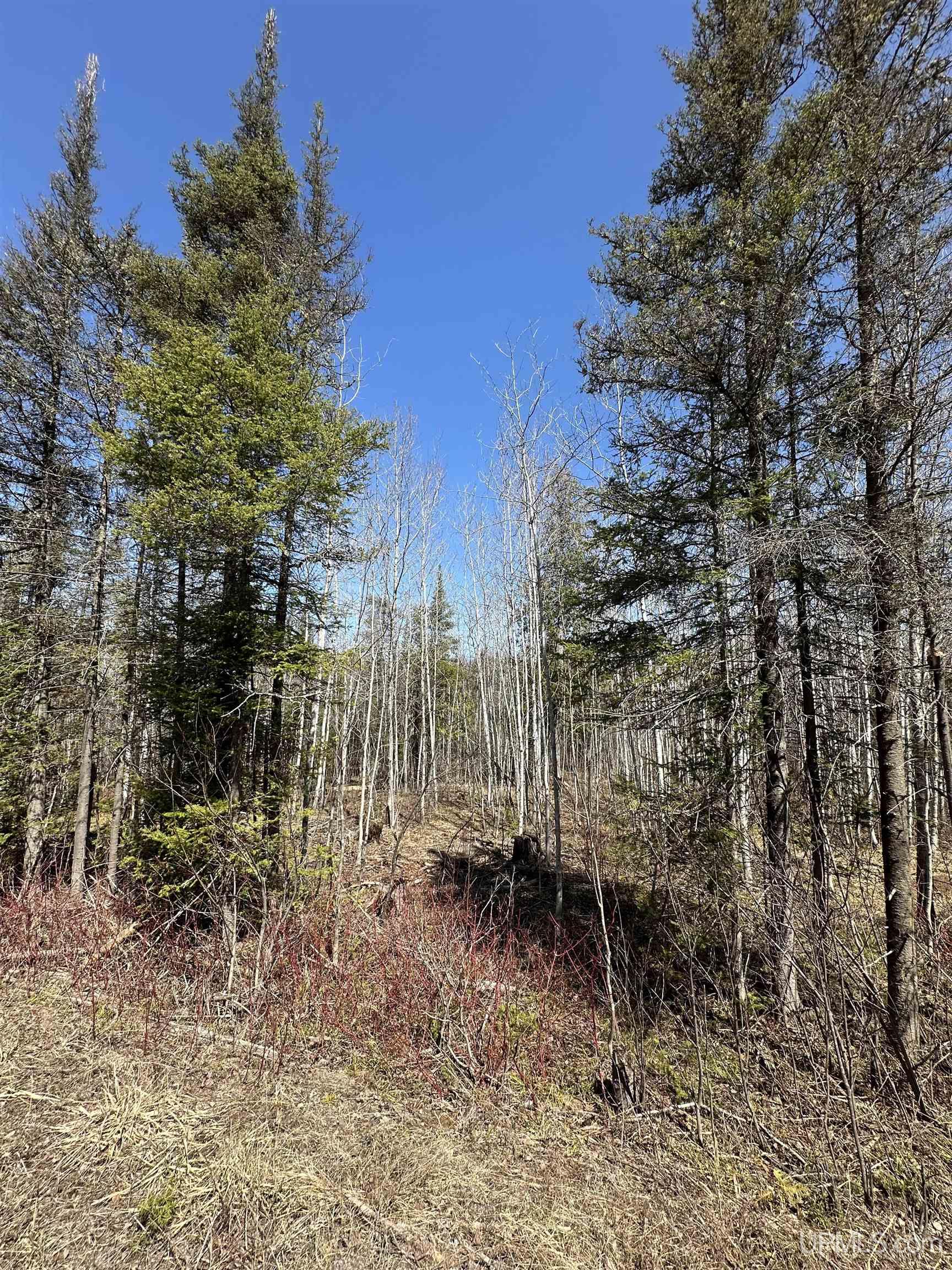 69 Old 69 Road Crystal Falls, MI 49920 - Photo 4 of 21